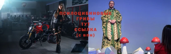 бошки Алексин