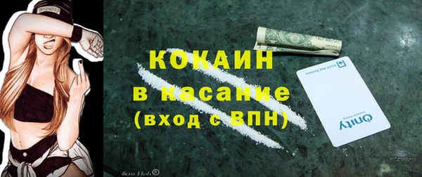 индика Алексеевка