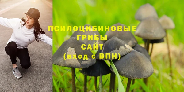 бошки Алексин
