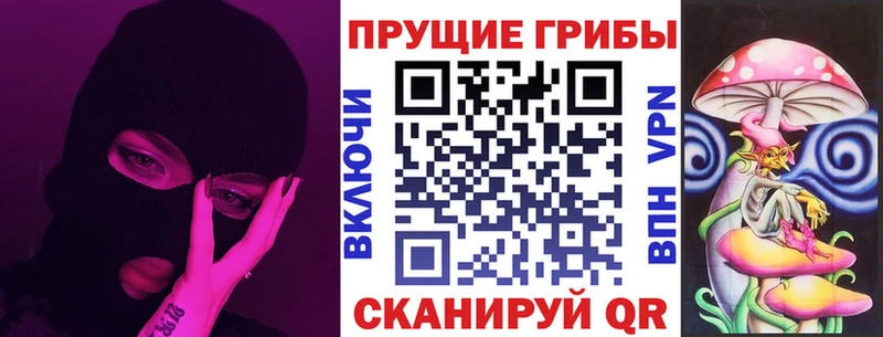 блэк спрут ссылка Красный Кут Галлюциногенные грибы Magic Shrooms