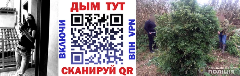 Канабис индика  Красный Кут 